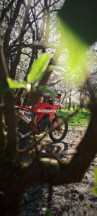 Gas Gas Ec 300 2t 2012