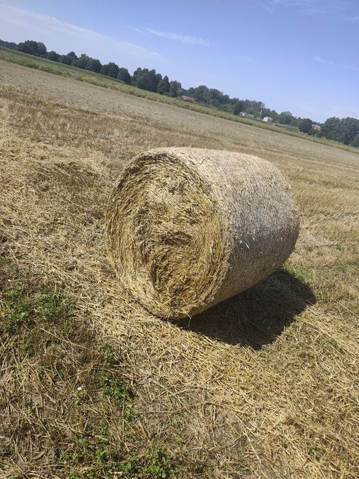 Sprzedam.  słomę
