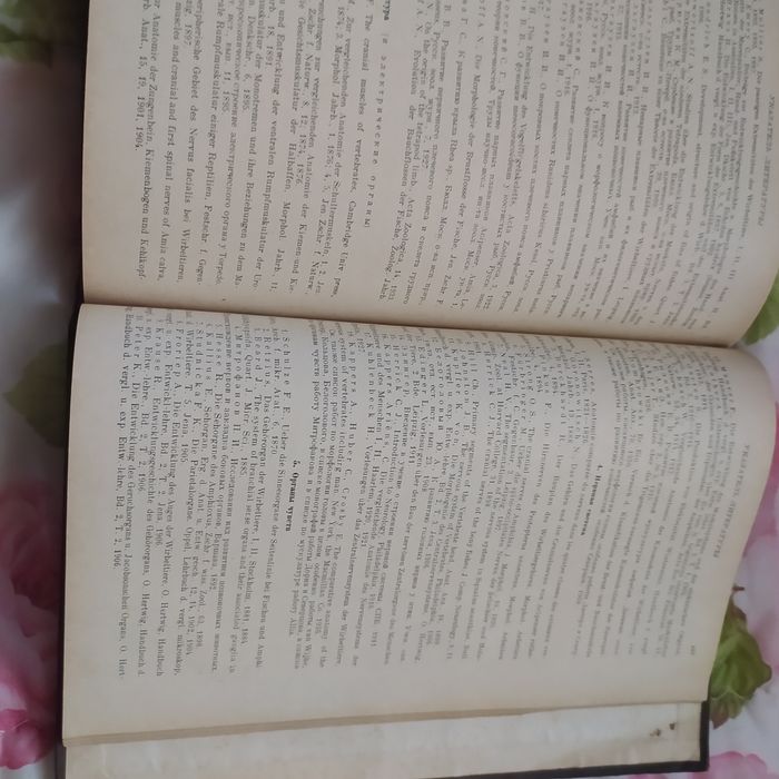 Основы сравнительной анатомии 1938 год