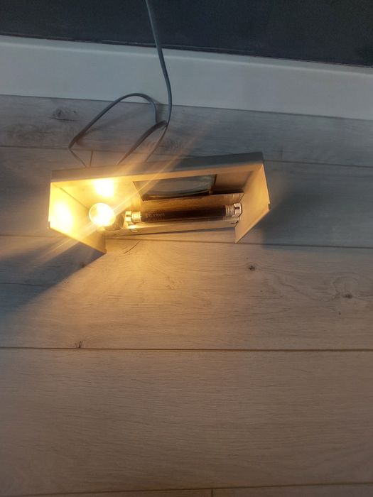Stary tester banknotów UV – lampa do sprawdzania autentyczności – retro