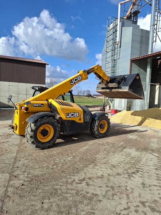 Kukurydza sucha paszowa