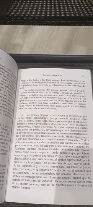 Gramática de la Lengua Espanhola