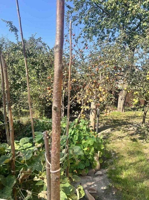 Продаж будинку, Липники