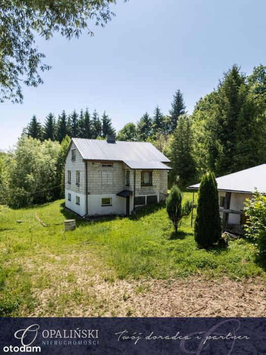 Dom w otoczeniu zieleni do własnej aranżacji
