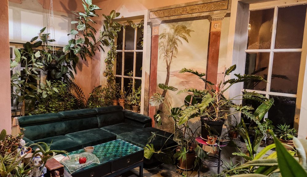 Sprzedam unikalny dom otoczony naturą