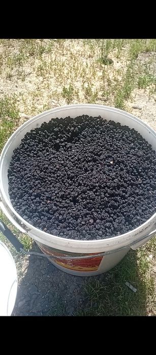 Чорниця сушена Прикарпаття , висока якість