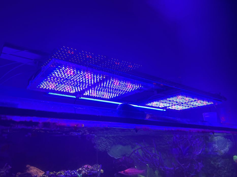 Calhas led para aquario de água salgada GNC PRO para mim as melhores