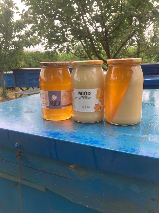 Miód z małej pasieki
