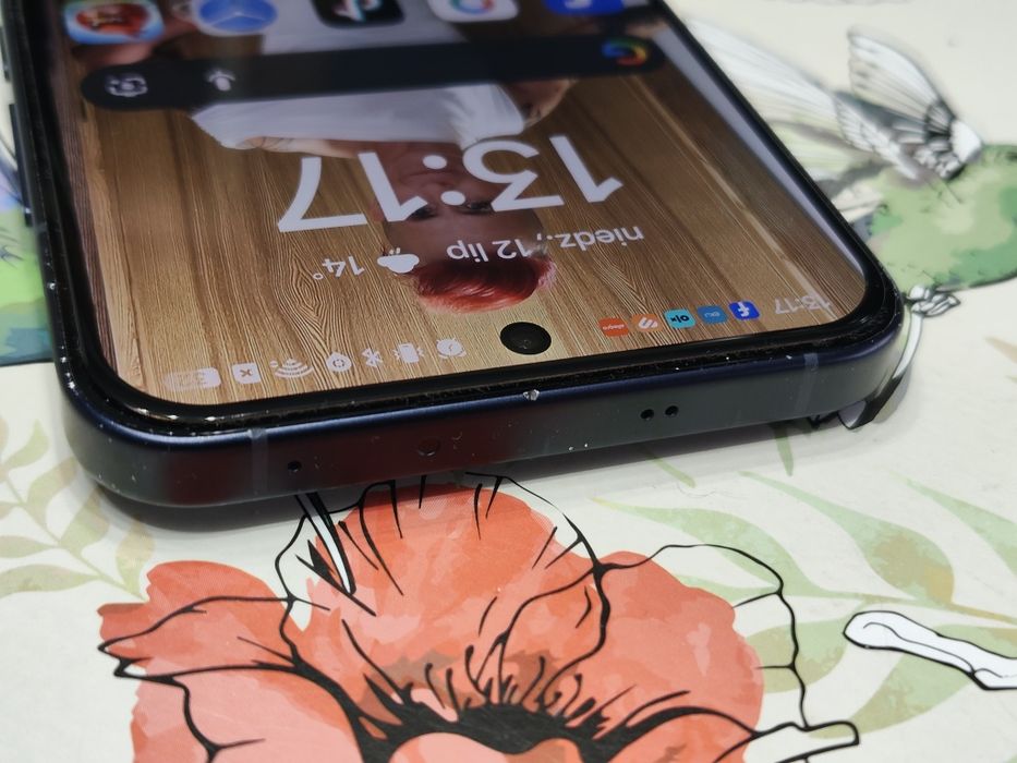 Oppo Reno 13 12/256