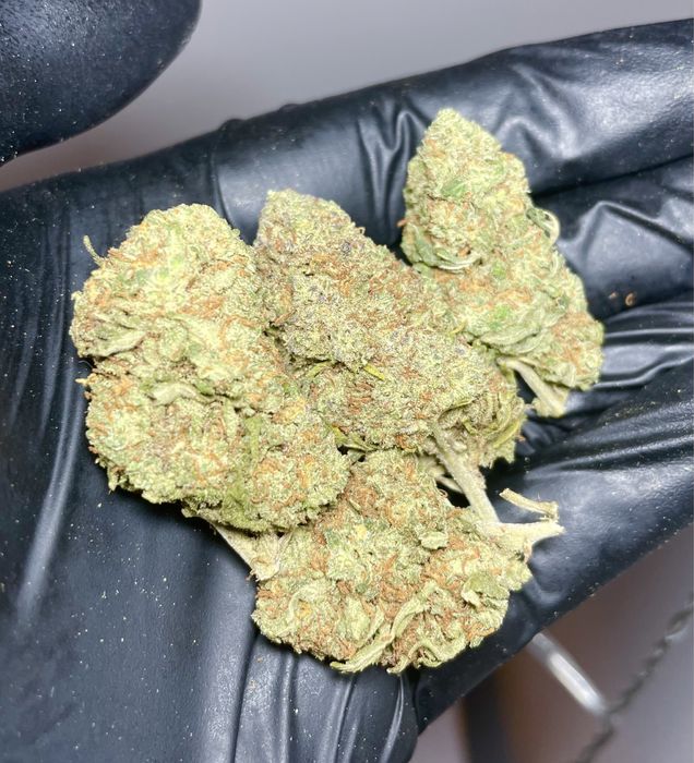 1000g susz CBD Strawberry Kush/THC< 0.3%