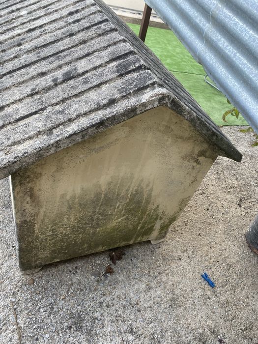 Casota cao pedra porte grande