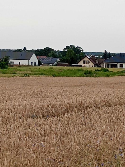 Działka budowlana w Kalinówce 900 mkw koło Lublina