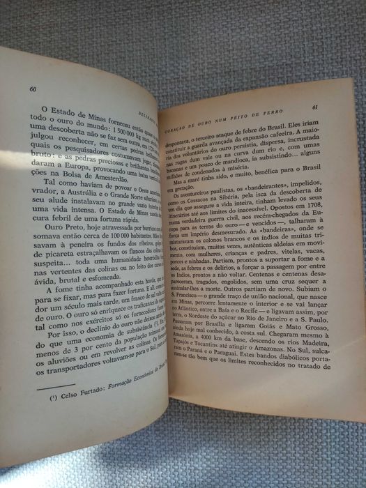 Delirante Brasil (Pierre Rondière)