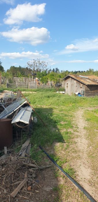 Ділянка 18,5 сот поруч з лісом, пилорама, госп.будівлі,с. Сінгури