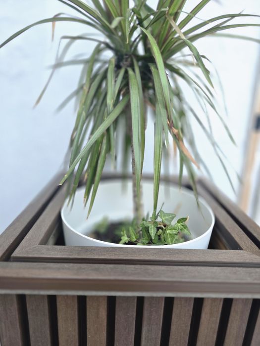 Floreira em  PVC - Dê um toque de charme ao seu jardim com uma floreira artesanal