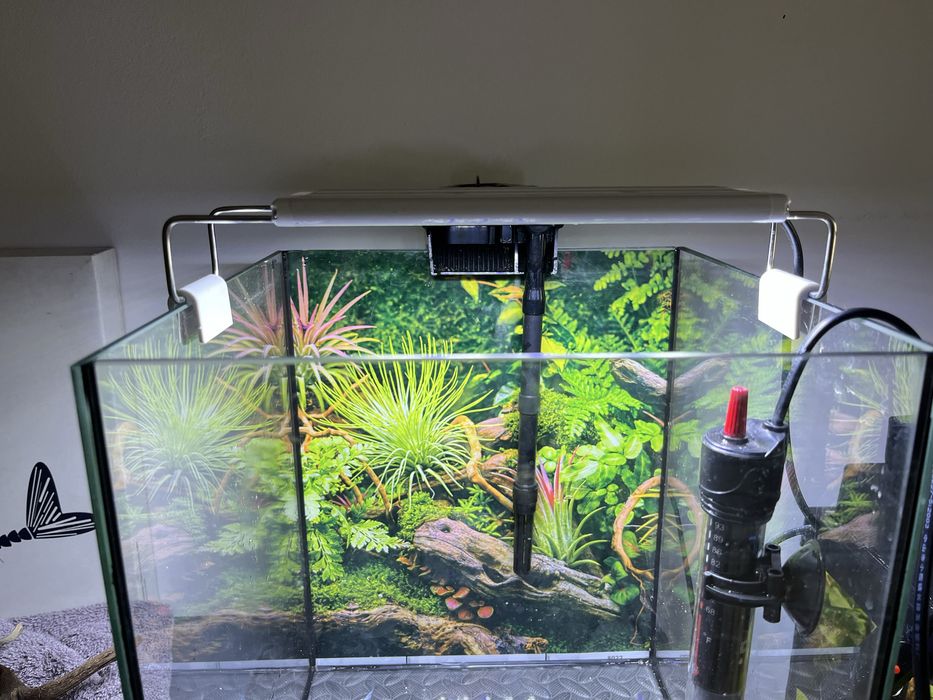 Akwarium Kostka 18,5