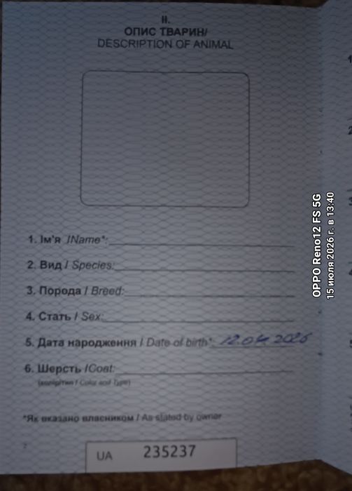 Продам недорого маленькіх Мейкунчиков  у Мами есть все привівки також загранпаспорт