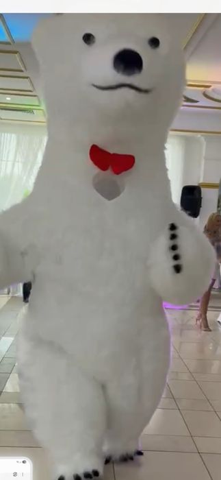 Miś, duży  mis na imprezy