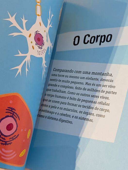 O corpo humano em 30 segundos