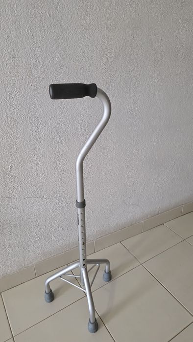 Bengala Tripe semi nova