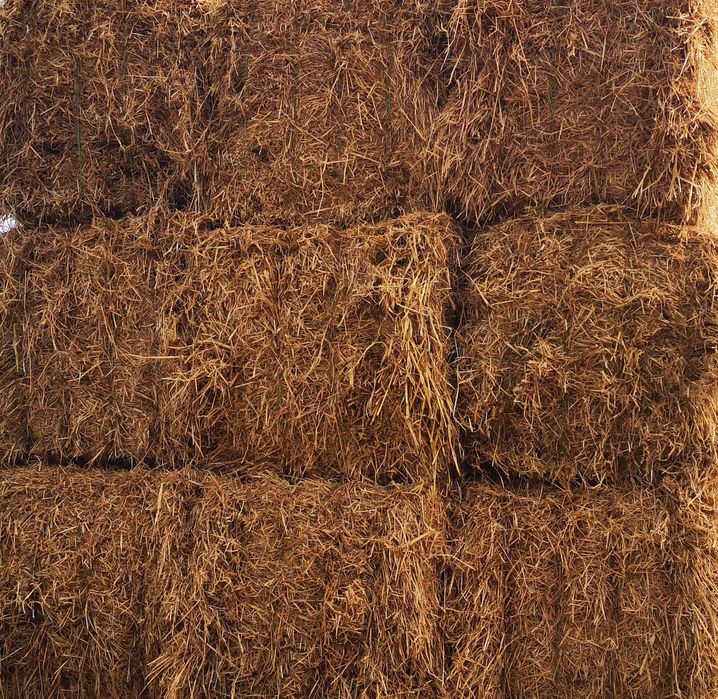 Vendo Fardos Palha Grandes