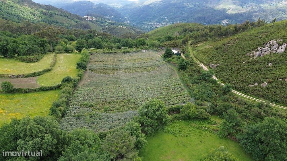Terreno  para venda