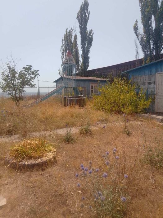 База відпочинку "Наука" - Одеська обл.