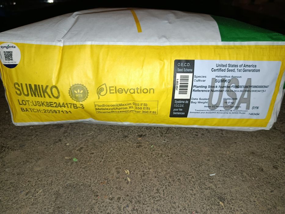 Насіння соняшнику Піонер P64LE185/Сінгента Суміко