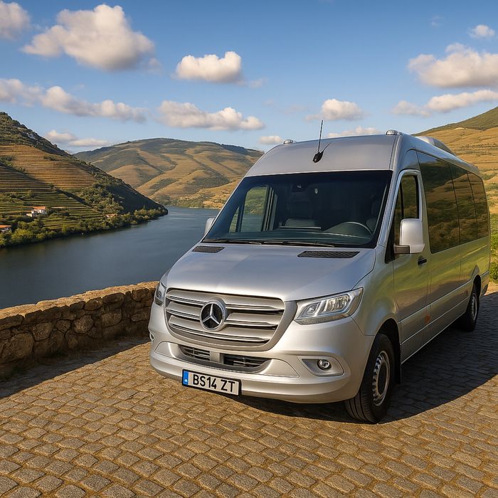 Aluguer minibus com motorista