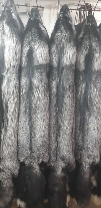 Skóry z lisa i norki