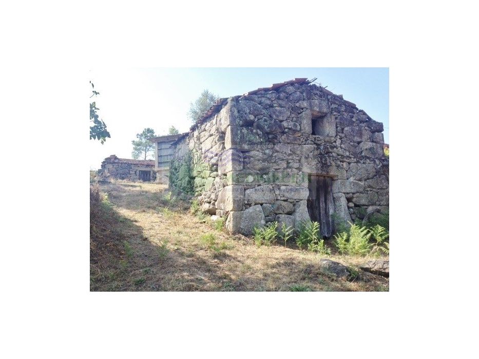 Quintinha | Couto De Esteves