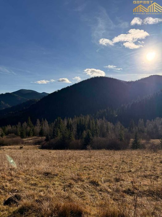 Дземброня. Верховинський район. Нерухомість. Земля. Карпати. 50сотих