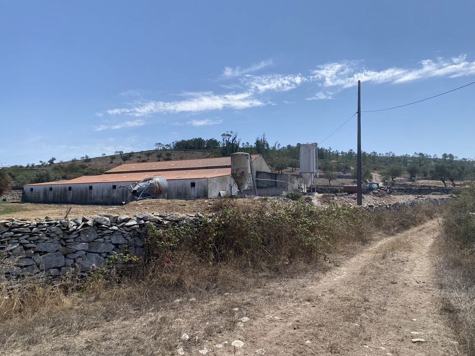 Oportunidade de negocio