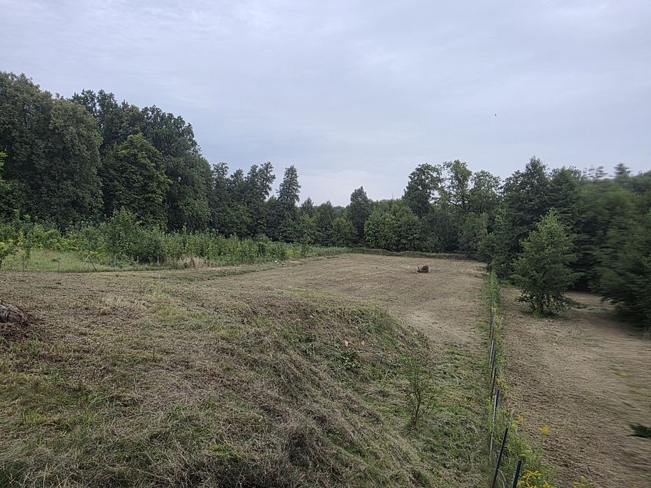 Działka budowlana 3900 m² nad Jeziorem Brodzkim – Jeziory Wysokie woj.lubuskie - Widok 2