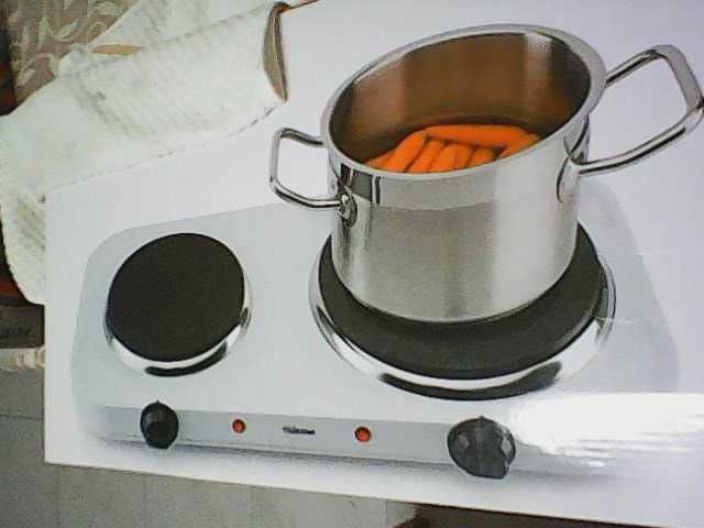 Placas Elétricas de 1 e de dois Discos Com garantia