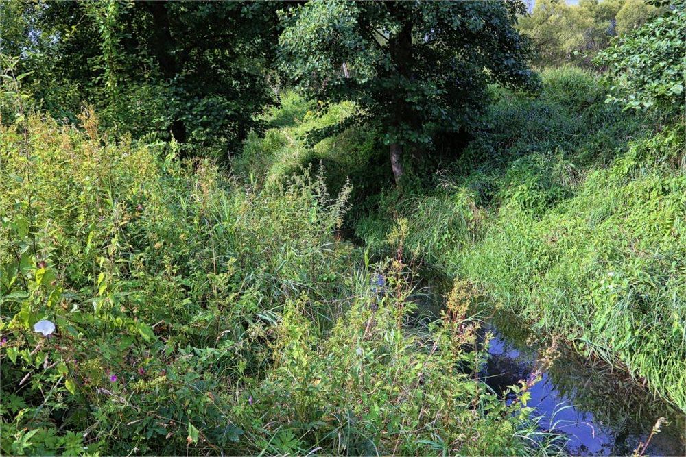 Połczyn-Zdrój działka INWESTYCYJNA - View 2