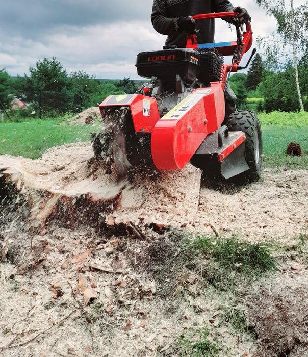 Alpinistyczna wycinka, pielęgnacja drzew. Karczowanie działek.