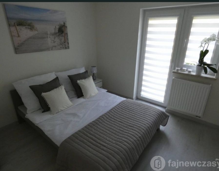 Pokój  3 osobowy na wynajem Rewa