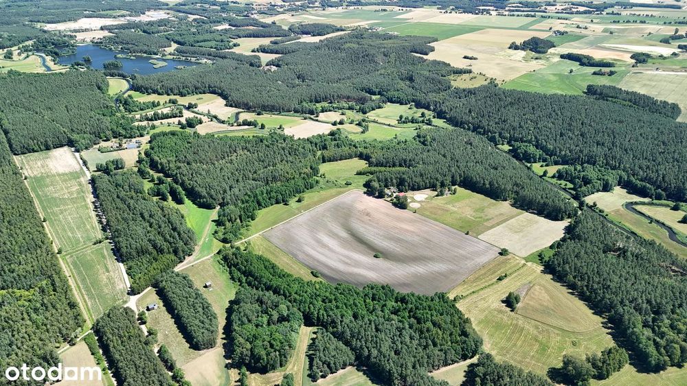 Całoroczny dom (na wynajem) z jacuzzi 62m/42,5 ara na odludziu