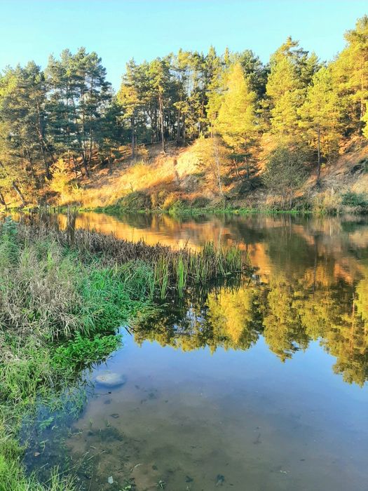Do wynajęcia dom na urlop/wakacje w spokojnej okolicy