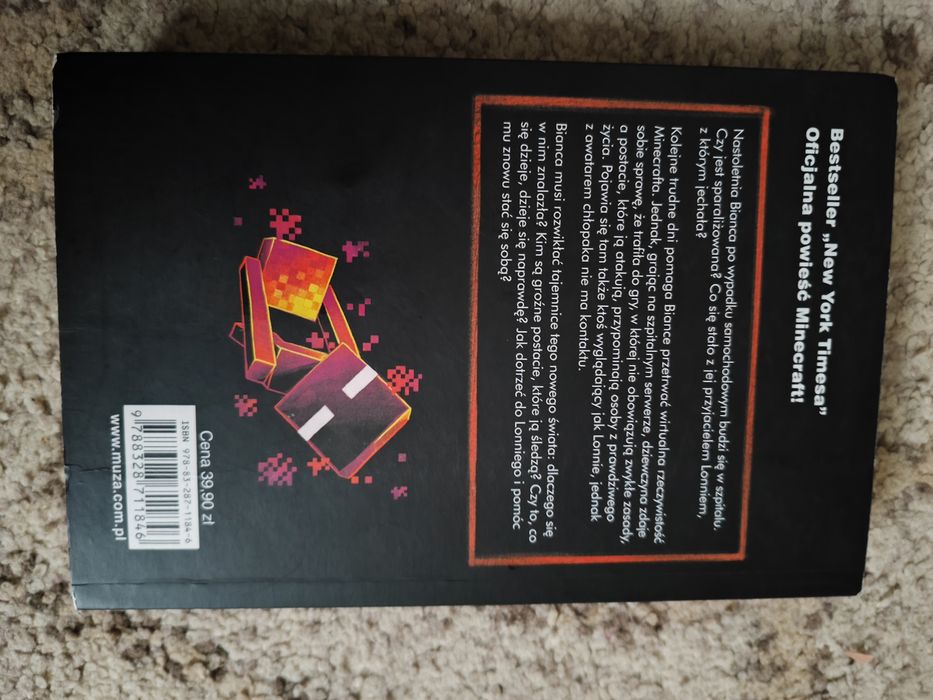 Minecraft WYPADEK Tracey Baptiste