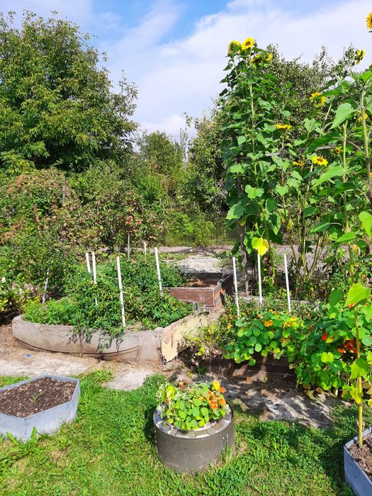 Działka ROD Nowy Start Gliwice