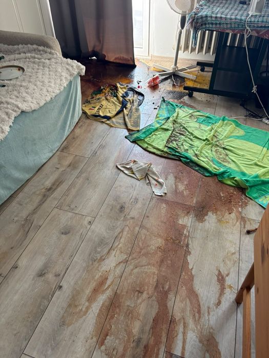 Sprzątanie po zgonie zmarłych zgonach dezynfekcja ozonowanie utylizacja mebli Vector