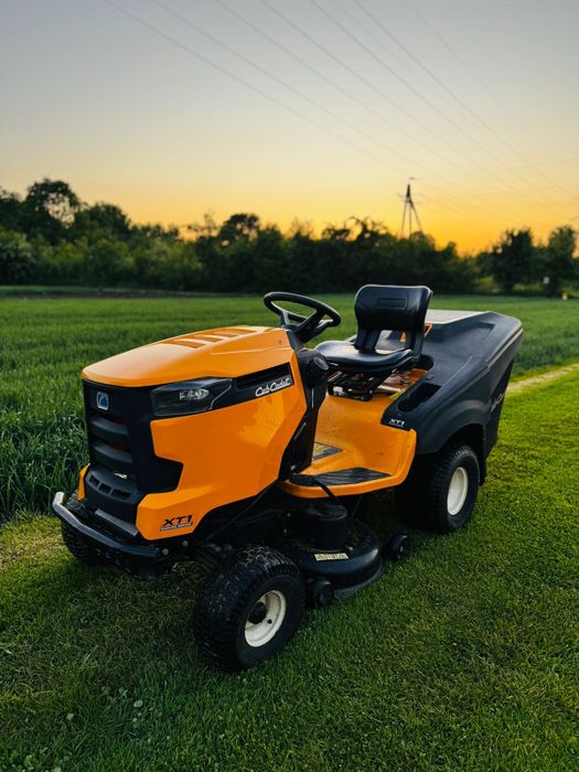 Od trawnika po drzewa – zadbamy o każdy szczegół Twojego ogrodu