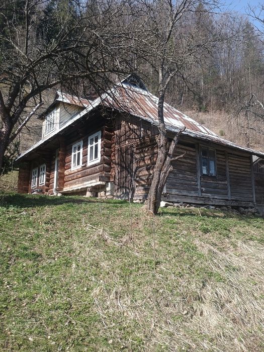 Будинок у карпат