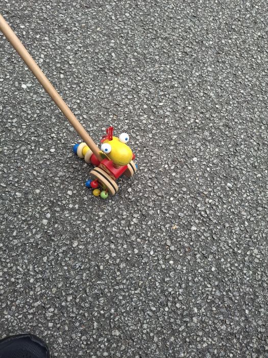 Brinquedo de Empurrar, Lagarta, em Madeira para Criança
