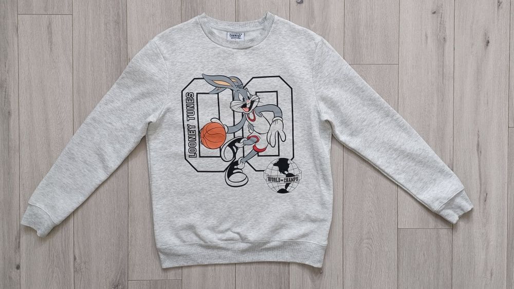 Męska bluza sportowa Looney Tunes roz.L