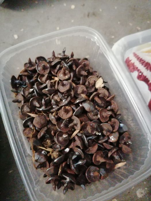 Taśma 30 m kołki do styropianu ćwieki