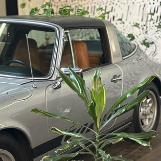 business-site-gallery-photo