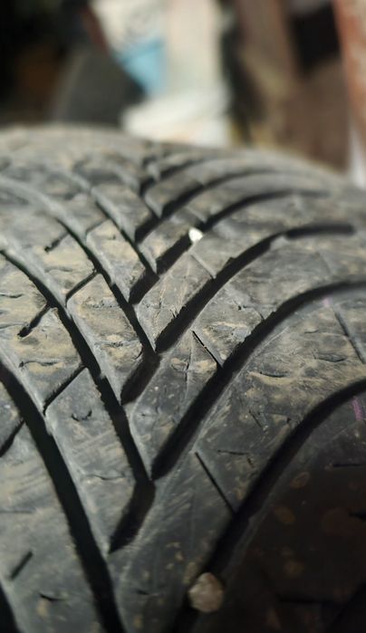 Opony dębica navigator 3 195/65R15